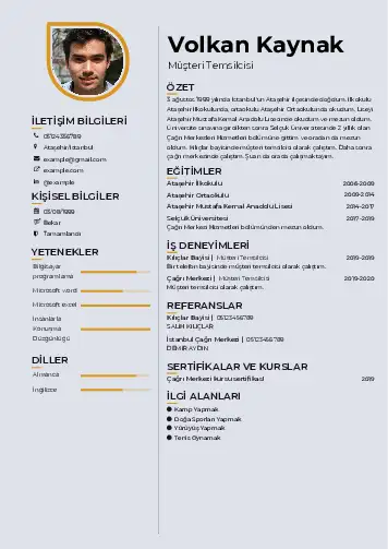 cv indir